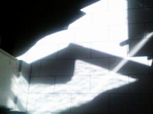 Carvos Loup : Le jour d&rsquo;après