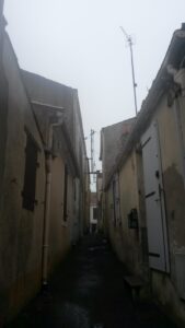 Avis de sale temps