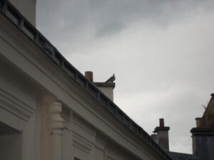 A tâtons n°2