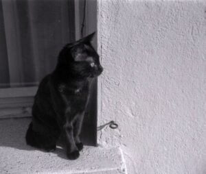 Stamboul