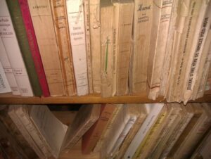La solitude des champs de blogs