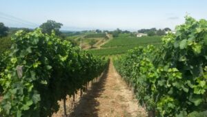 Donzac (Gironde)