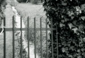 Black Agnès