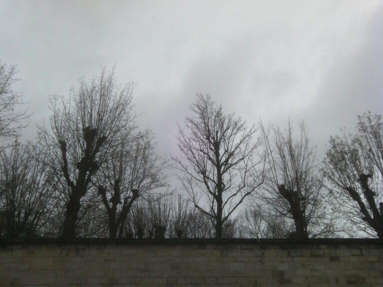 Un mur hivernal
