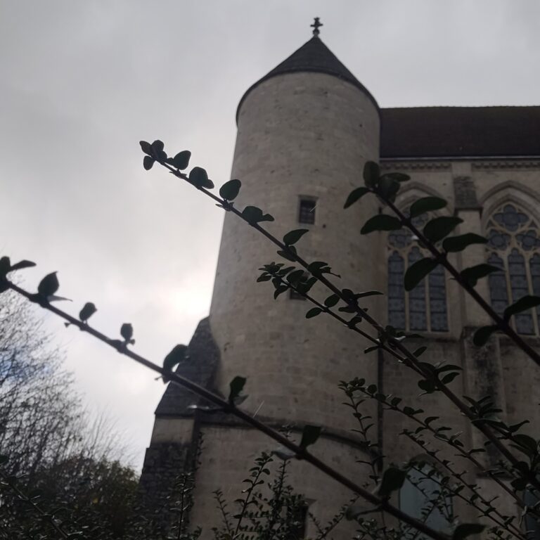 Depuis les jardins de l&rsquo;archevêché