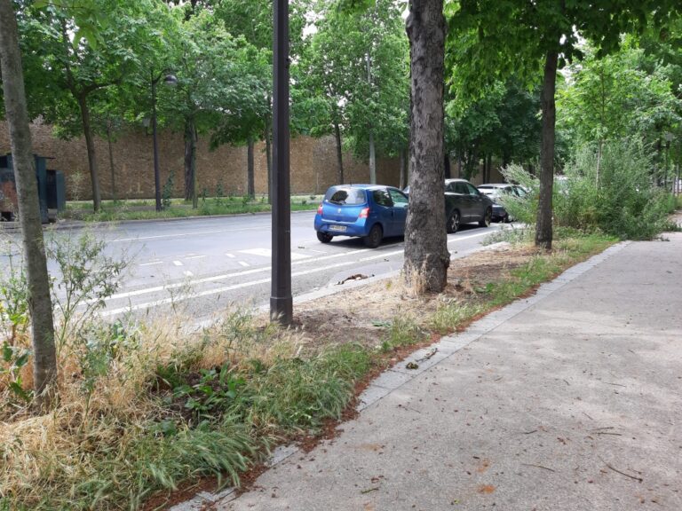 Le boulevard ensauvagé