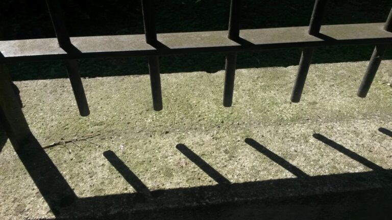 Dernières lumières du printemps