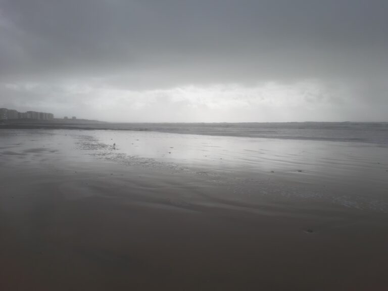 L’océan gris
