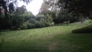 Le jardin des osmanthes