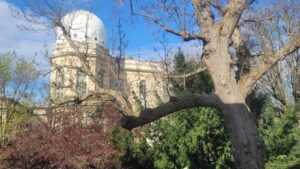 Depuis Massa, l’Observatoire