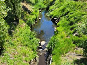 Ruisseau vendéen