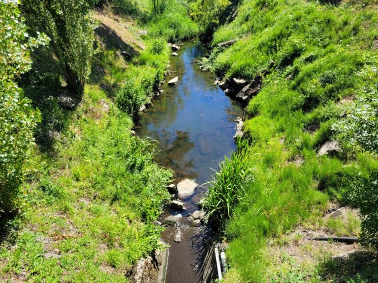 Ruisseau vendéen