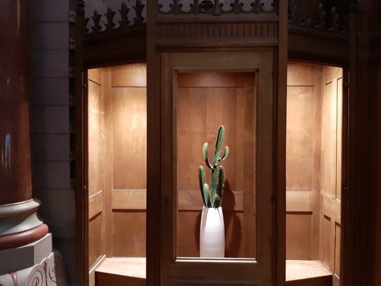 La cactus du confessionnal