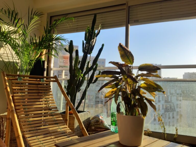 Soleil du matin