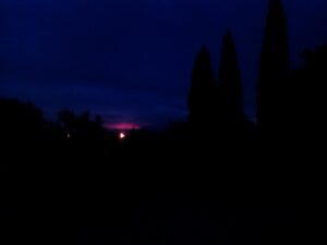 cyprès, si loin