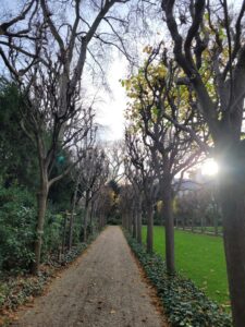 Le jardin était calme et j’en cherchais la clef
