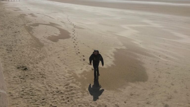 Renaud des sables