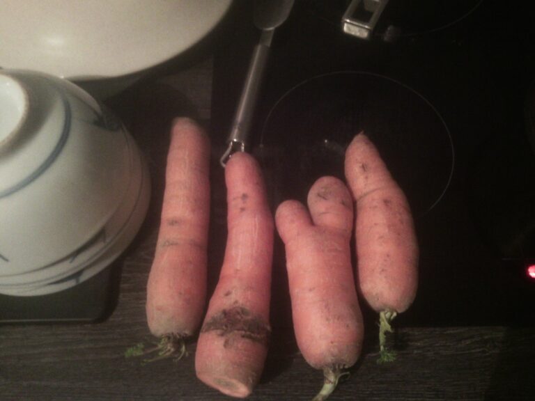 Les carottes ne sont pas cuites