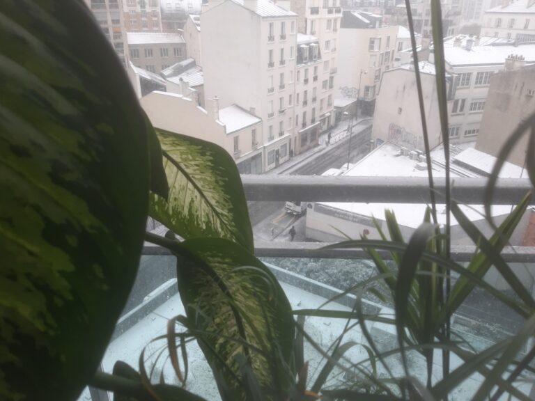 Le solfège des neiges