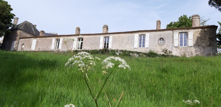 Depuis le bas de la prairie