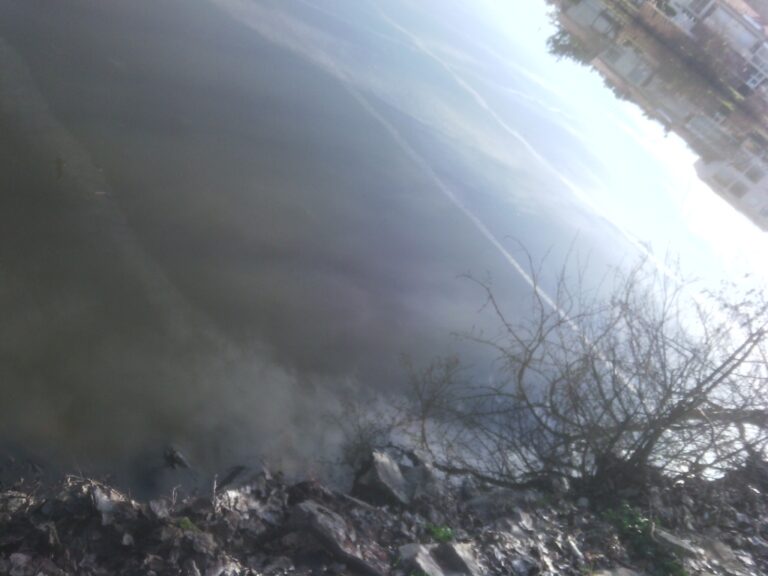 Reflet dans un lac d’argent