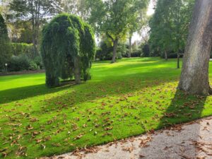 L’automne à Champ-Goyon