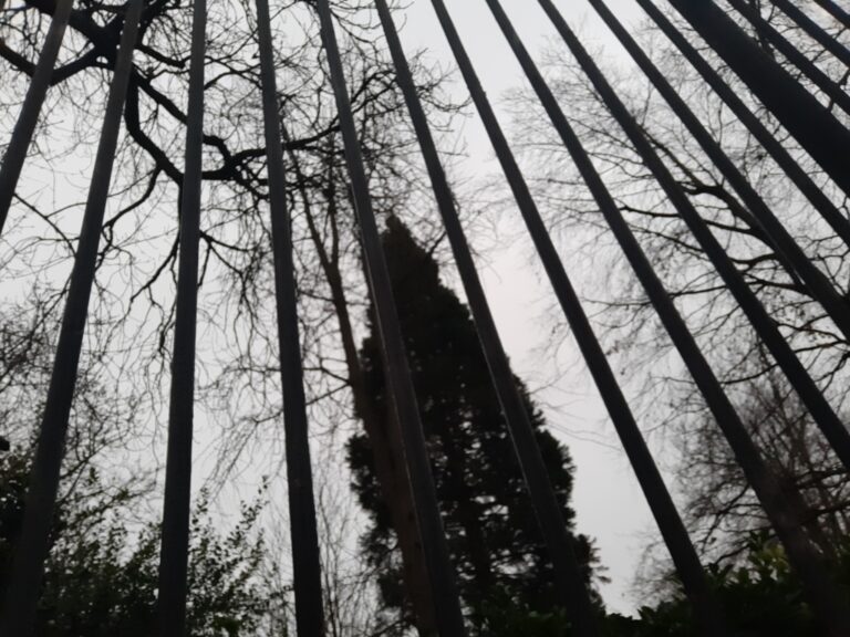 Hautes grilles