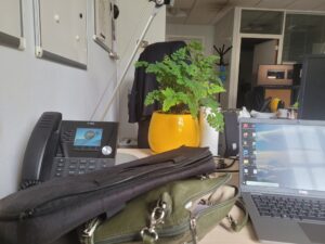 La folle beauté des bureaux