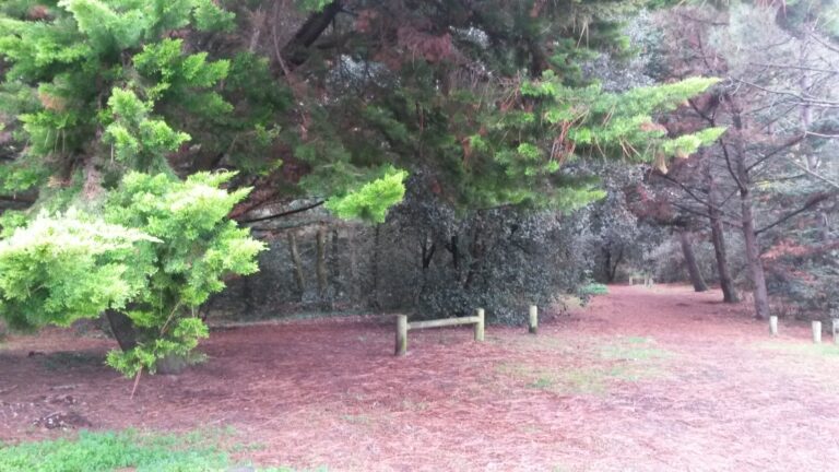 Promenade douce