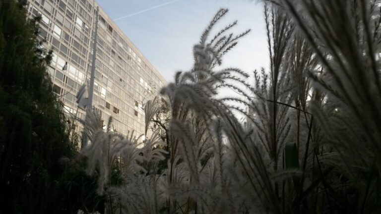 Du jardin Atlantique au-dessus de la gare Montparnasse