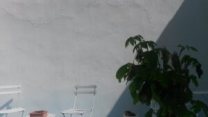 Où sont les grillons ?