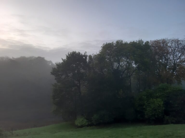 La fumée aurorale