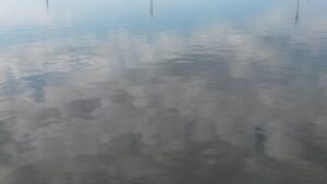 Ô lac, l&rsquo;année entière a fini sa carrière