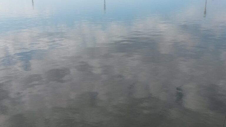 Ô lac, l&rsquo;année entière a fini sa carrière