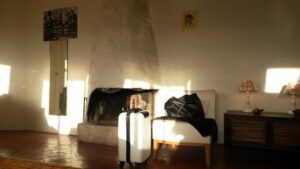 Lumières d&rsquo;un après-midi d&rsquo;hiver