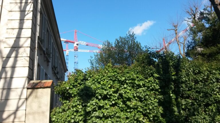 Les grues du jardin