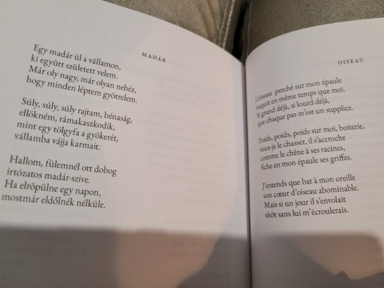 Madàr (Nemes-Nagy)