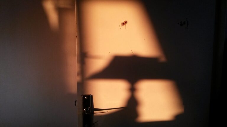 L’ombre d’une lampe
