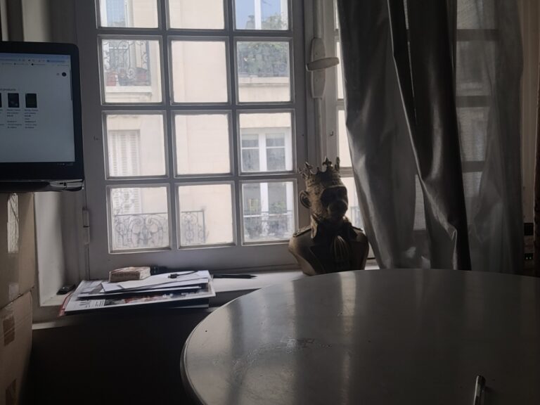 Un singe à la fenêtre