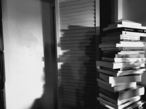 Livres de l’avant-jour