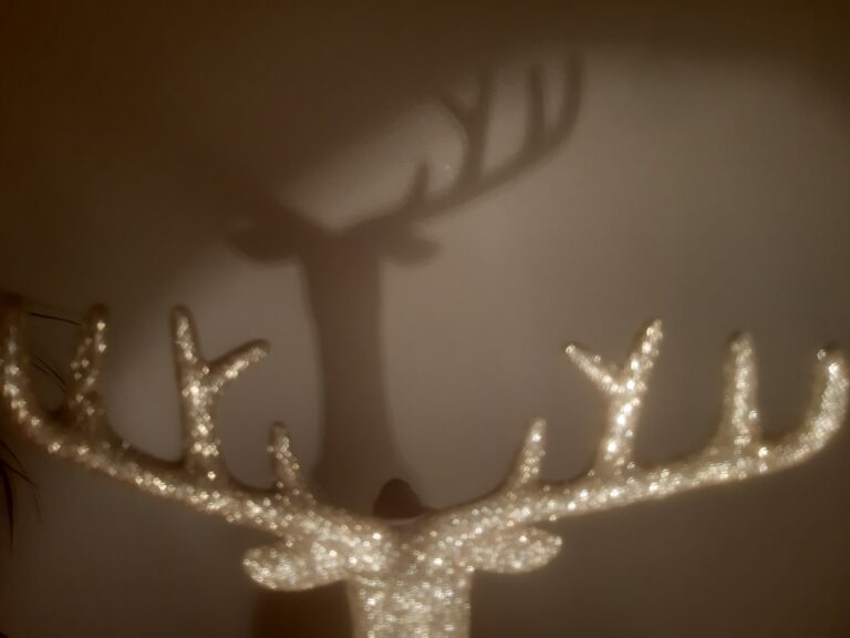 Le renne des O