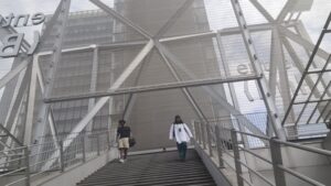 BNF