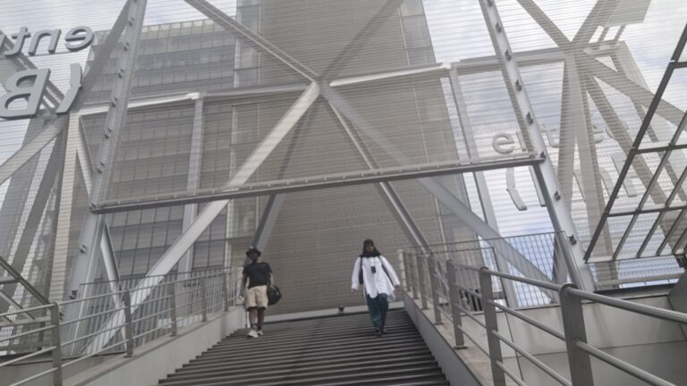 BNF