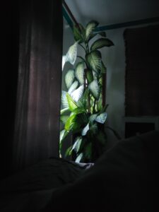 Blancheur de mes nuits