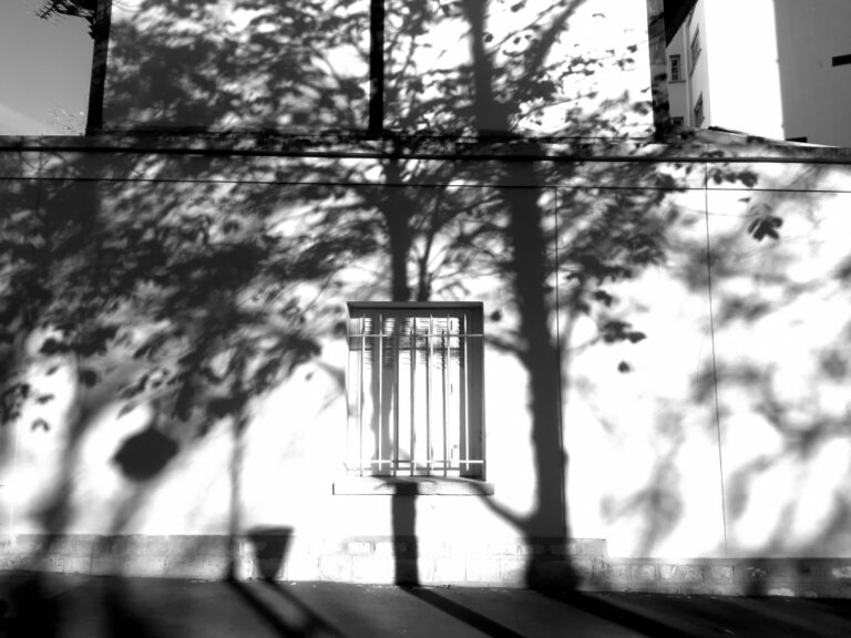Ombres françaises