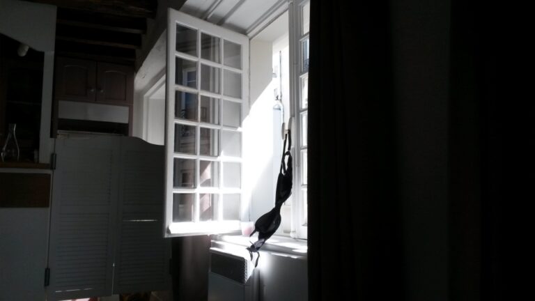 Une fenêtre parisienne