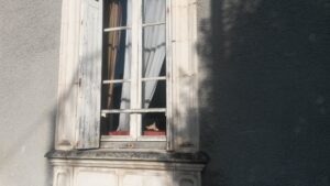 Le chat de la métairie, La Roche sur Yon