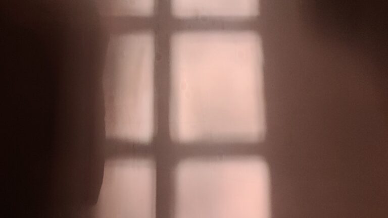 Rose sombre