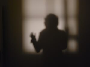 Le statut de l’ombre