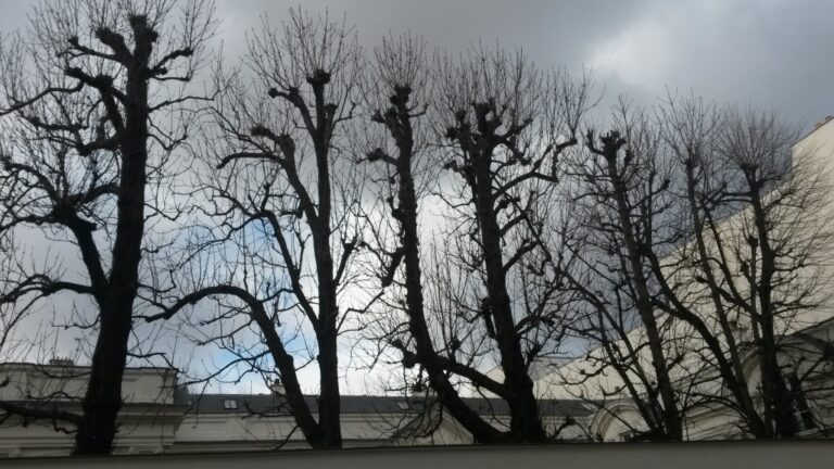 Rue Vaneau